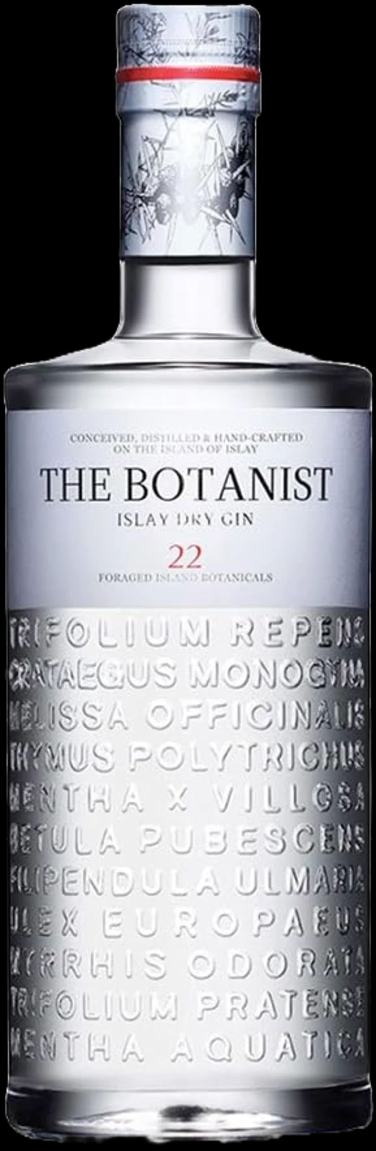 Illustration The Botanist