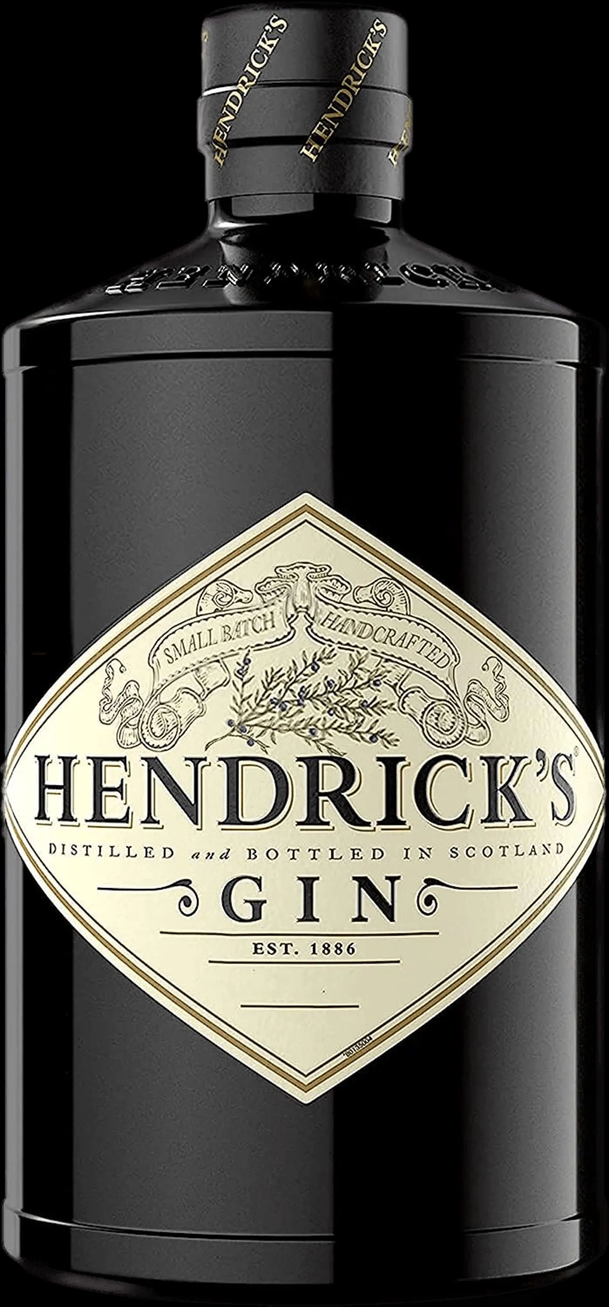 Illustration Hendrick's Gin