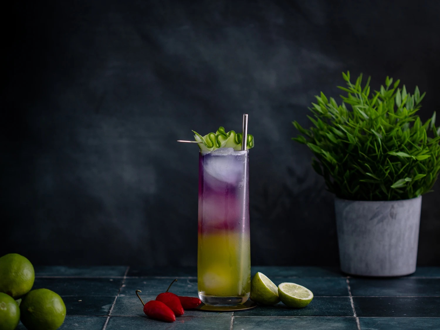 Cocktail Spicy Cucumber Cooler